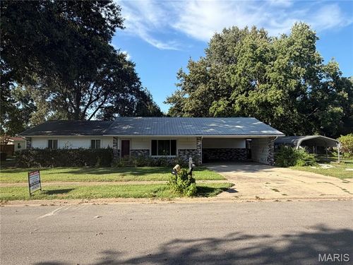 545 Saint Paul Dr, New Madrid, MO, 63869-1317 | Card Image