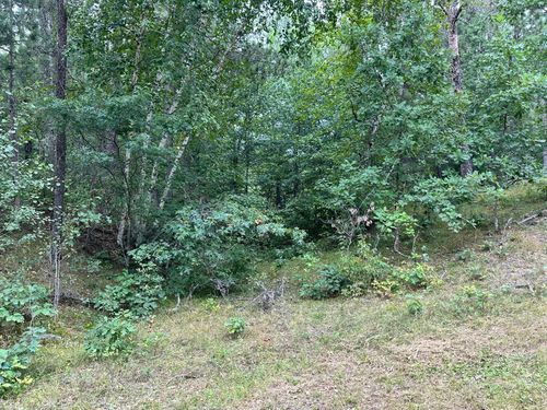 TBD* W Five Point Lake Rd Nw, Hackensack, MN, 56452 | Card Image