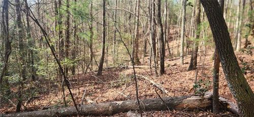 TBD Cane Creek Church Rd, Mc Grady, NC, 28649 | Card Image