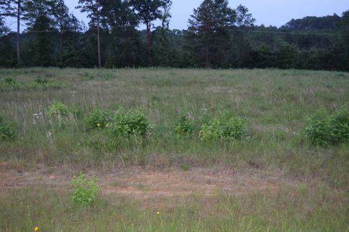 6 B Ryans Way, Minden, LA, 71055 | Card Image
