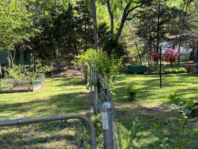 Beautiful well maintained yard with a variety of plants, fruits and vegetables. | Image 16