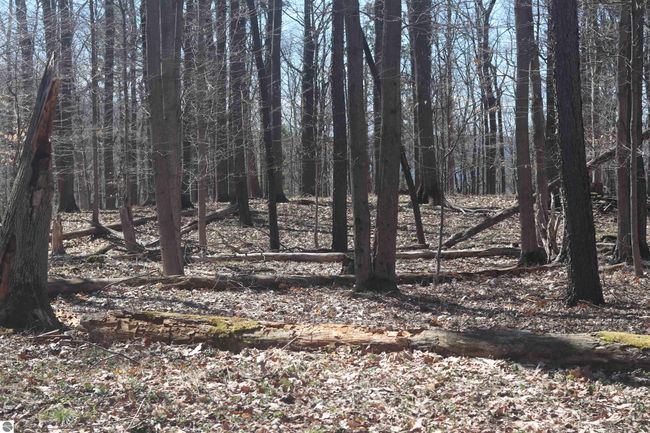 lot 4 Crystal Ridge Dr, Home with 0 bedrooms, 0 bathrooms and null parking in Beulah MI | Image 6
