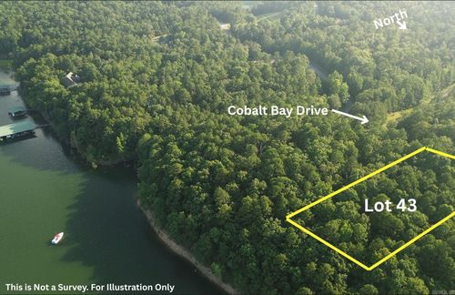 Lot 43 Cobalt Bay Dr, Shirley, AR, 72153 | Card Image