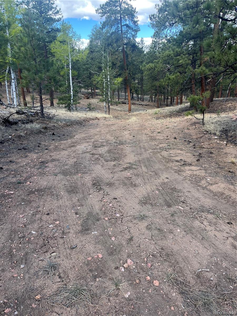 Land in Westcliffe 2