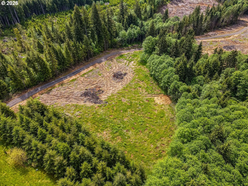 Land in Longview 2
