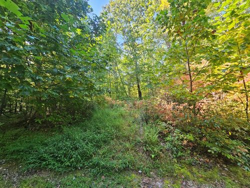 Lot 17 Fox Hollow Dr, Bastian, VA, 24314 | Card Image