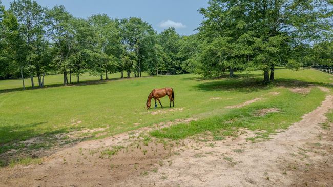 148 Derrick Rd, Home with 3 bedrooms, 4 bathrooms and null parking in Johnston SC | Image 57