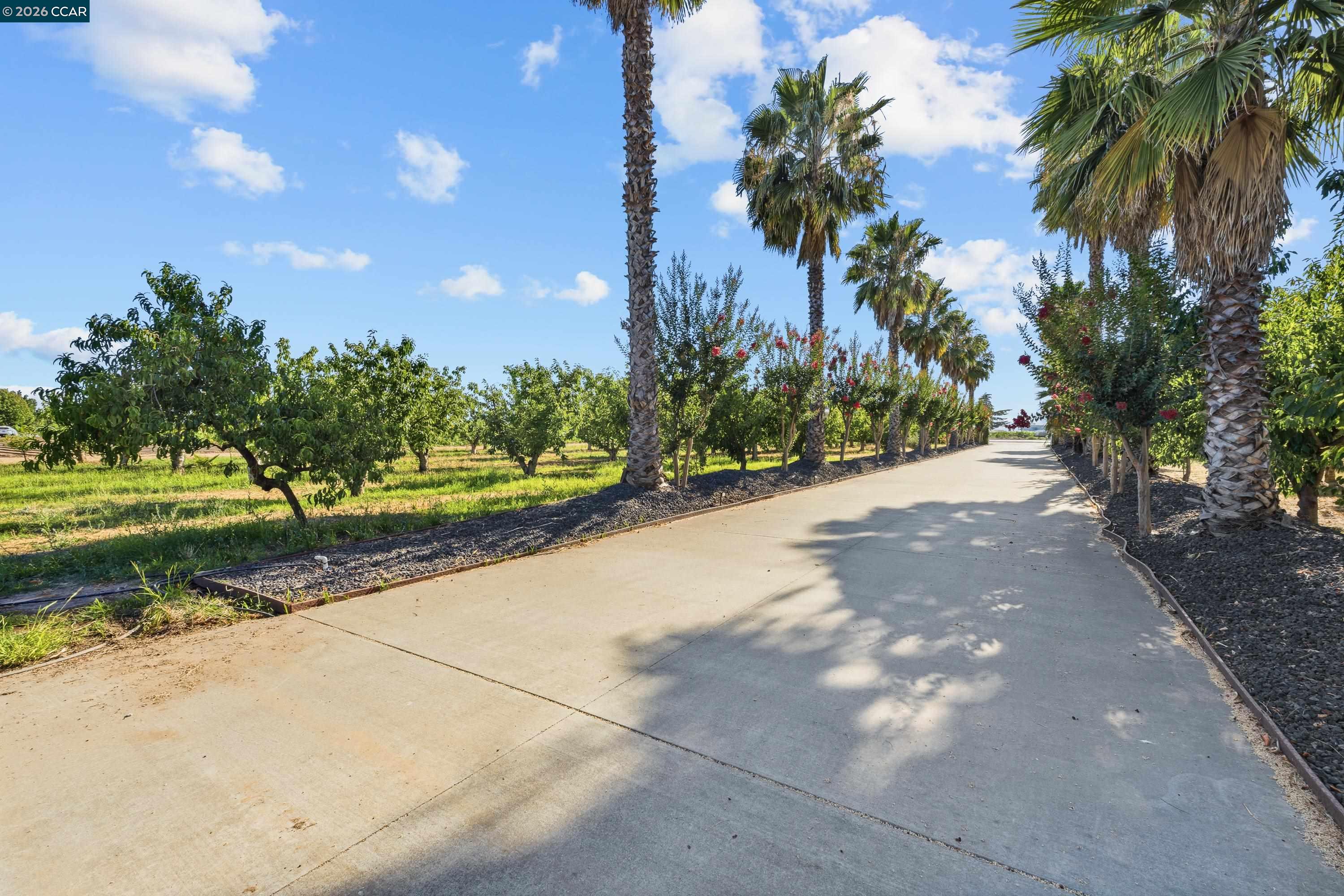 Residential in Lodi 2