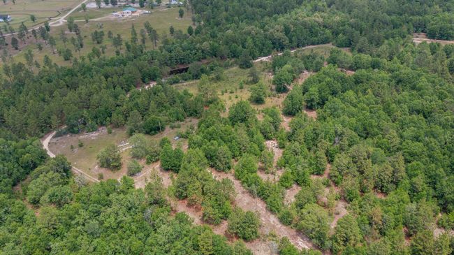 1327 Charlies Loop, Home with 0 bedrooms, 0 bathrooms and null parking in Williston SC | Image 10