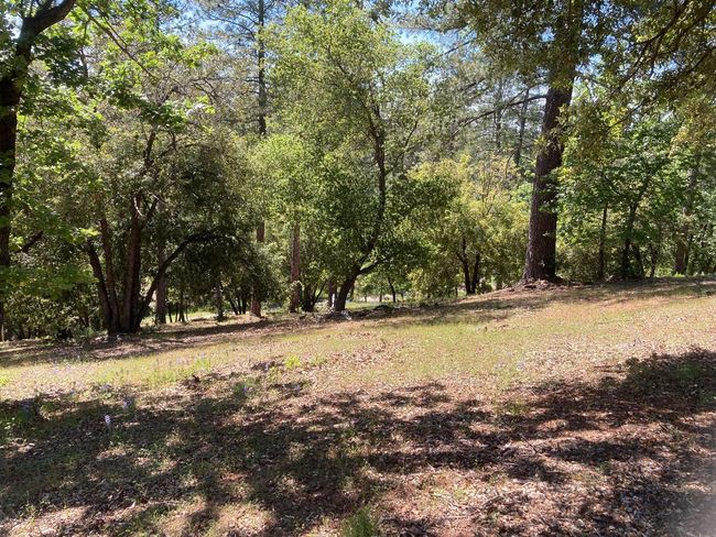 16688 Sonshine Ln, Home with 0 bedrooms, 0 bathrooms and null parking in Sutter Creek CA | Image 49