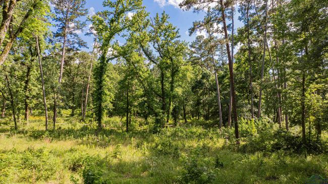 3 Bridle Path, Home with 0 bedrooms, 0 bathrooms and null parking in Longview TX | Image 10