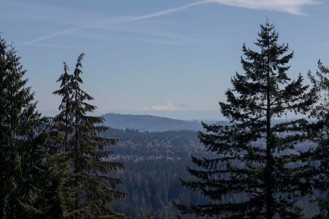 View of mountain feature featuring a view of trees | Image 21