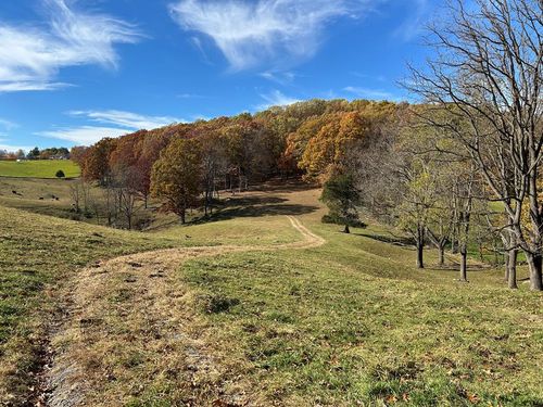 1748 Mountain Rd, Cedar Bluff, VA, 24609 | Card Image