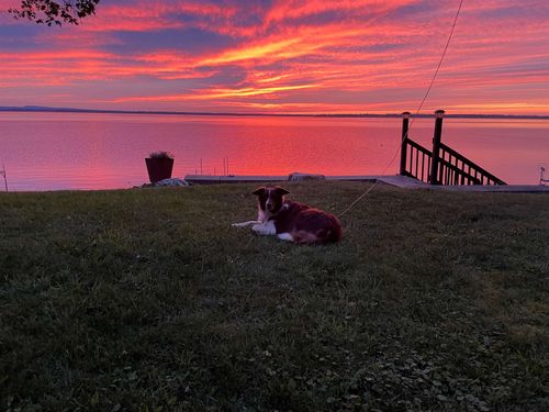 162 Maquam Shore Rd, Swanton, VT, 05488-9640 | Card Image