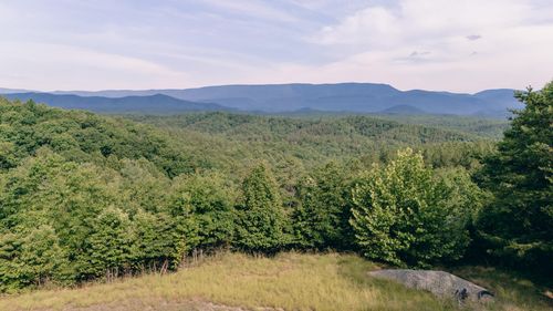 0 Sugar Tree Hollow Rd, Eagle Rock, VA, 24085 | Card Image