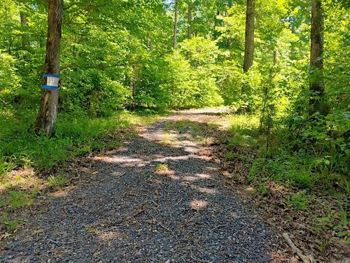 Tract 1 Kulp Road, Boles, AR, 72926 | Card Image