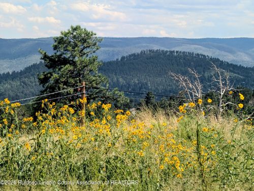 113 Kaibab Dr, Ruidoso, NM, 88345-7285 | Card Image