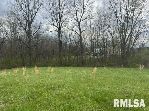 1436 Gilmoor Dr, Fowler, IL, 62338-2417 | Card Image