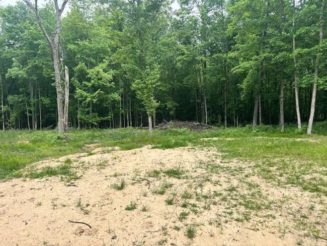 5892 E 68 Th St, Home with 0 bedrooms, 0 bathrooms and null parking in Chase MI | Image 15