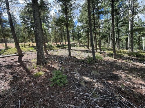 167 Big Bear Rd, Manitou Springs, CO, 80829 | Card Image