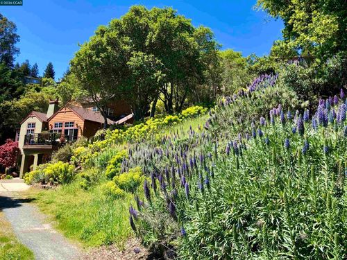 7033 Buckingham Blvd, Berkeley, CA, 94705-1712 | Card Image