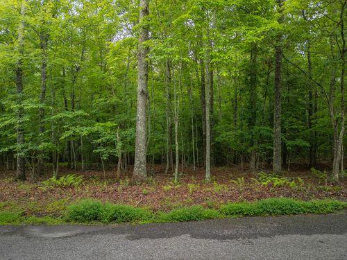 1.79 Ridge Rd, Blue Ridge, GA, 30513-4225 | Card Image