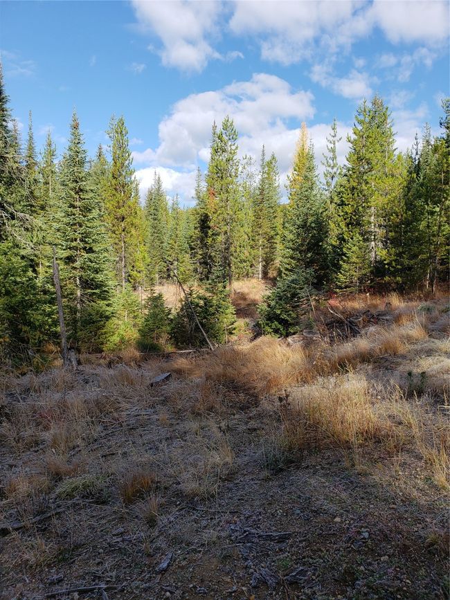 114 Packer Creek Rd, Home with 0 bedrooms, 0 bathrooms and null parking in Haugan MT | Image 4