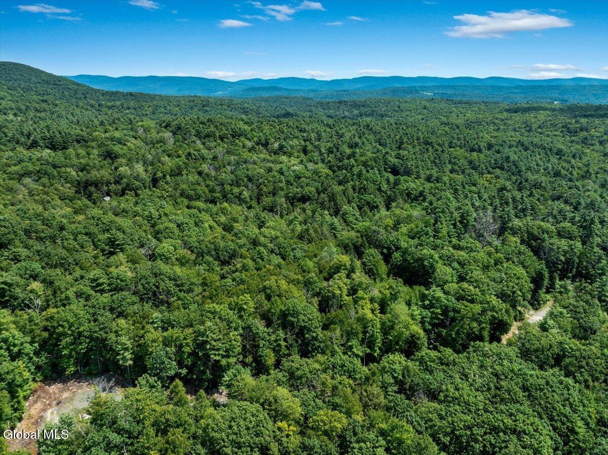 Land in Stephentown 3