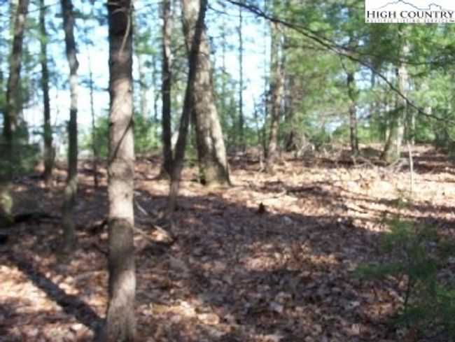 177 Troon Avenue, Home with 0 bedrooms, 0 bathrooms and null parking in Roaring Gap NC | Image 4