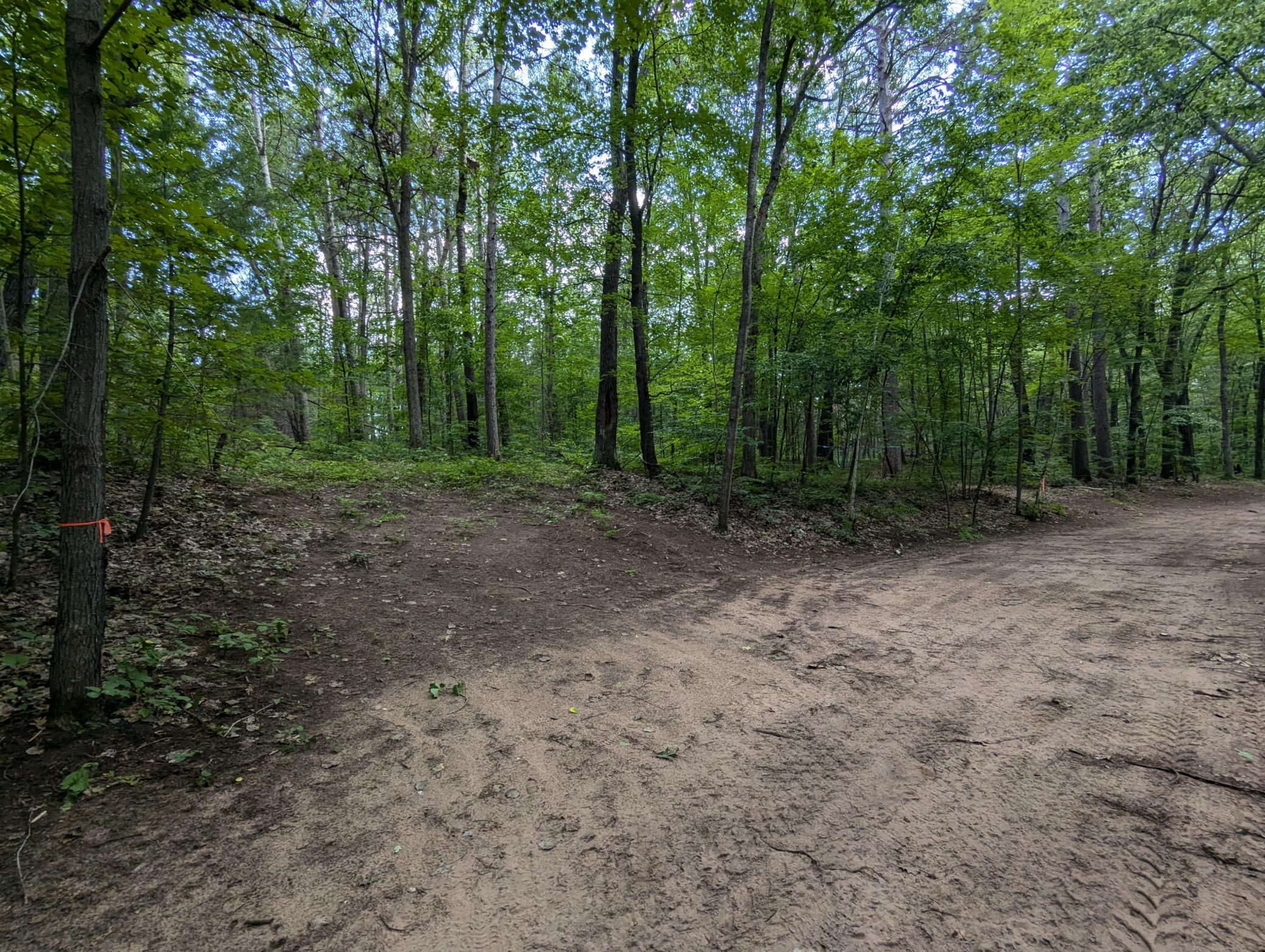 Land in Webster 5