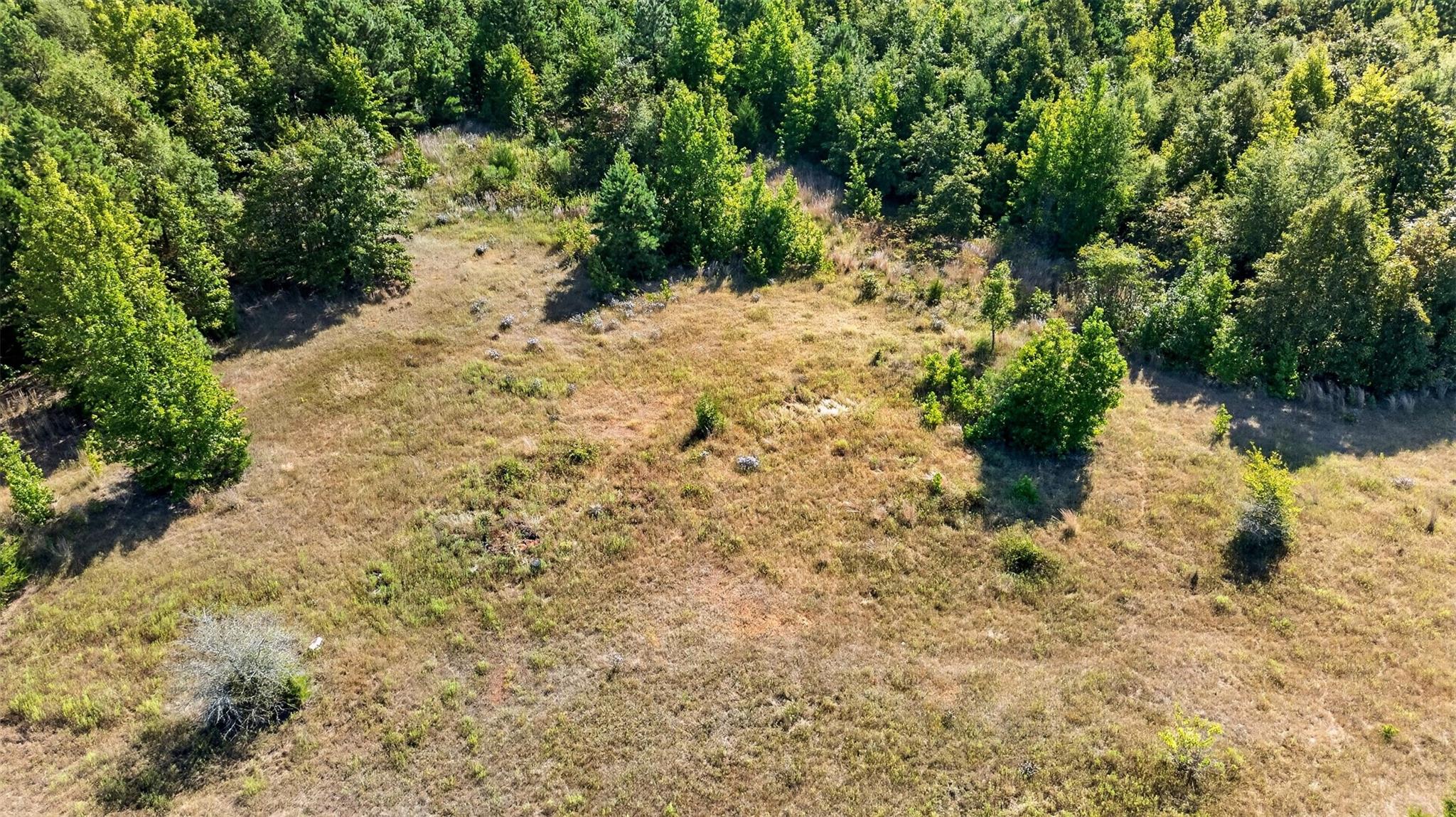Land in Gilmer 5