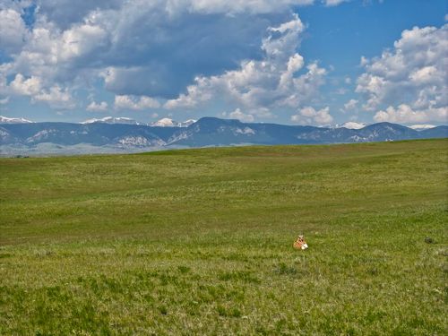 Tract 2 Trabing Road, Buffalo, WY, 82834 | Card Image