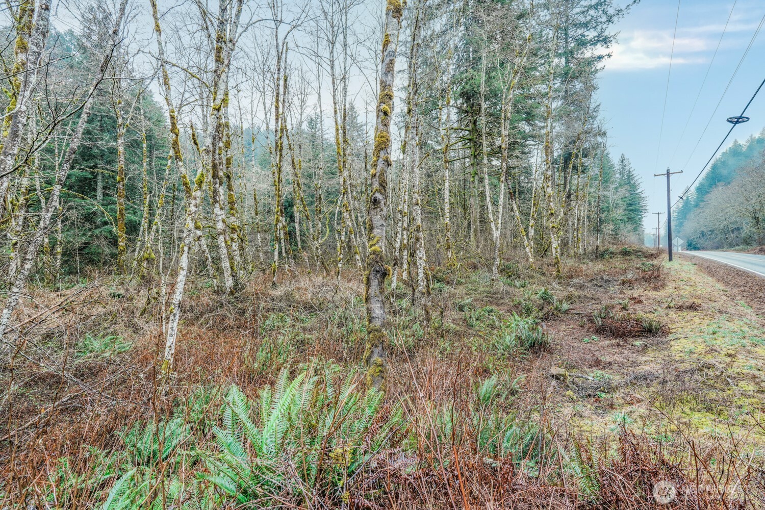 Land in Washougal 3