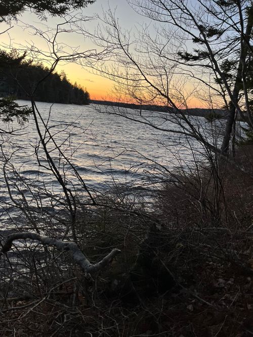 Lot 2-2 Raspberry Crt, Italy Cross, NS, B4V0S5 | Card Image