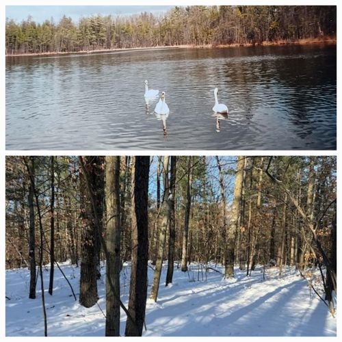 30 W Stanton Rd, Stanton, MI, 48888 | Card Image