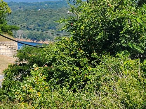 16500 Highway 160, Forsyth, MO, 65653 | Card Image