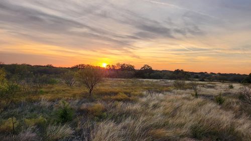 530 Private Road 1991, Mullin, TX, 76864 | Card Image