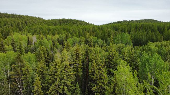 20 acres from above the main gate | Image 136