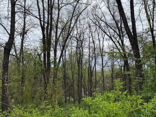 3612 Mountain View Dr, Chattanooga, TN, 37406-1563 | Card Image