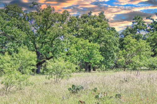 Lot 4 Texas Hill Country Trl, Willow City, TX, 78675 | Card Image