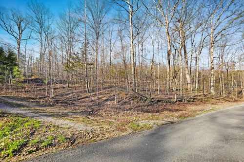 4 Cox Hollow Rd, Dover, TN, 37058 | Card Image