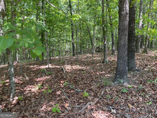 LOT 2& 3 Chalcrest Way, Cave Spring, GA, 30124-2280 | Card Image