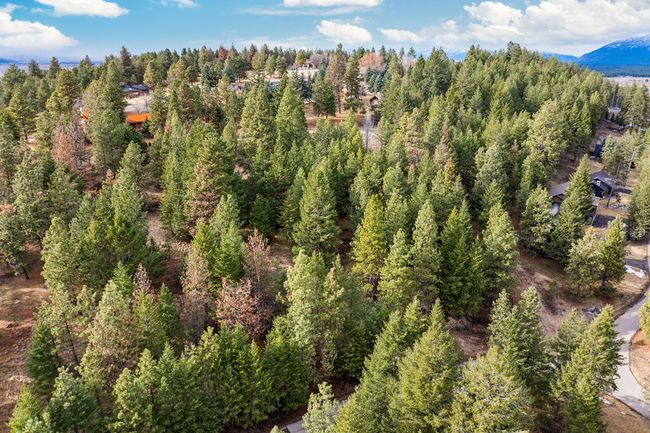 435 Windsor Dr, Home with 0 bedrooms, 0 bathrooms and null parking in Bigfork MT | Image 7