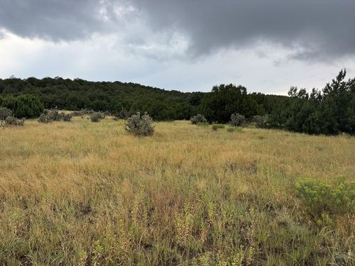 TBD Reins Rd, Walsenburg, CO, 81089 | Card Image