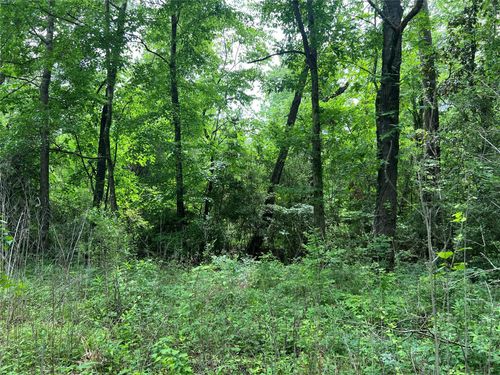 TBD Lot 22 Forester, Livingston, TX, 77351 | Card Image