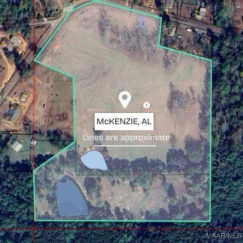 0 Mckenzie St, Mc Kenzie, AL, 36456 | Card Image