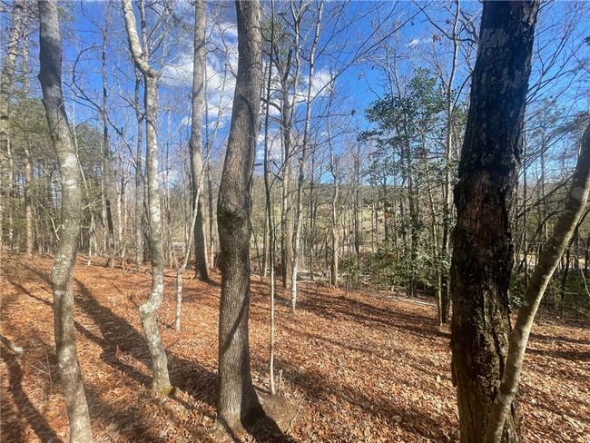 00 Academy Rd, Home with 0 bedrooms, 0 bathrooms and null parking in Mountain Rest SC | Image 37