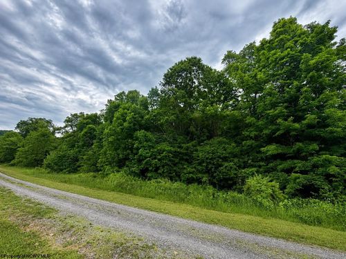 Lot 6 Iron Horse Ln, Dryfork, WV, 26263 | Card Image