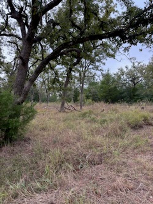 244 Orange Cir, Somerville, TX, 77879-4557 | Card Image