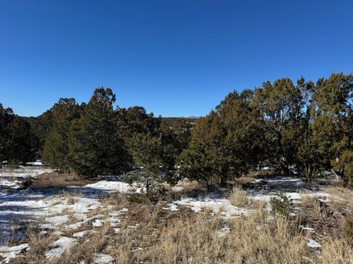21 Punch Ct, Tijeras, NM, 87059-7550 | Card Image
